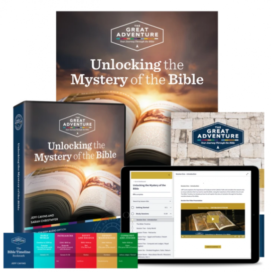 Bible Studies